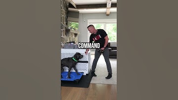 Waarom het Place-commando een 