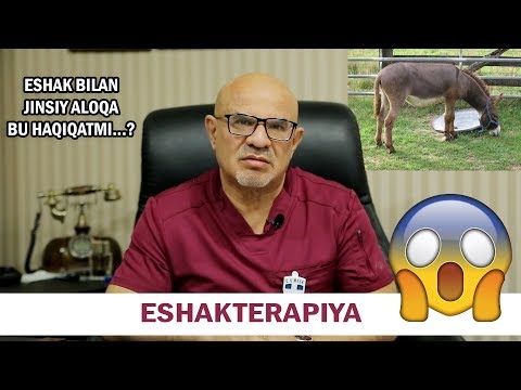 Video: Eshak Bilan Eshakning Farqi Nimada?
