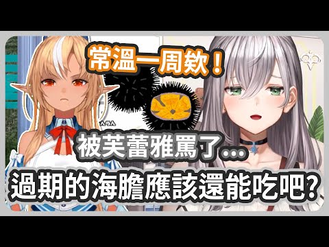 過期的海膽....當然不能吃啊!這已經不是會吃壞肚子的問題了~狠狠的被芙蕾雅罵了一頓【白銀諾艾爾/不知火芙蕾雅】