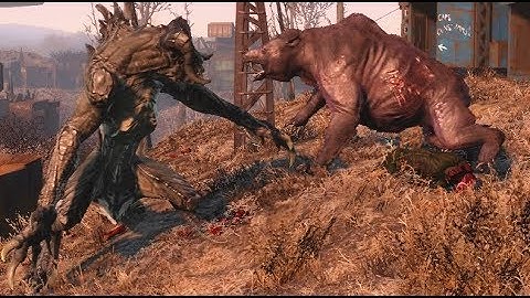Fallout 4: NO MODS --- Wasteland Arena (Spectacle Island)