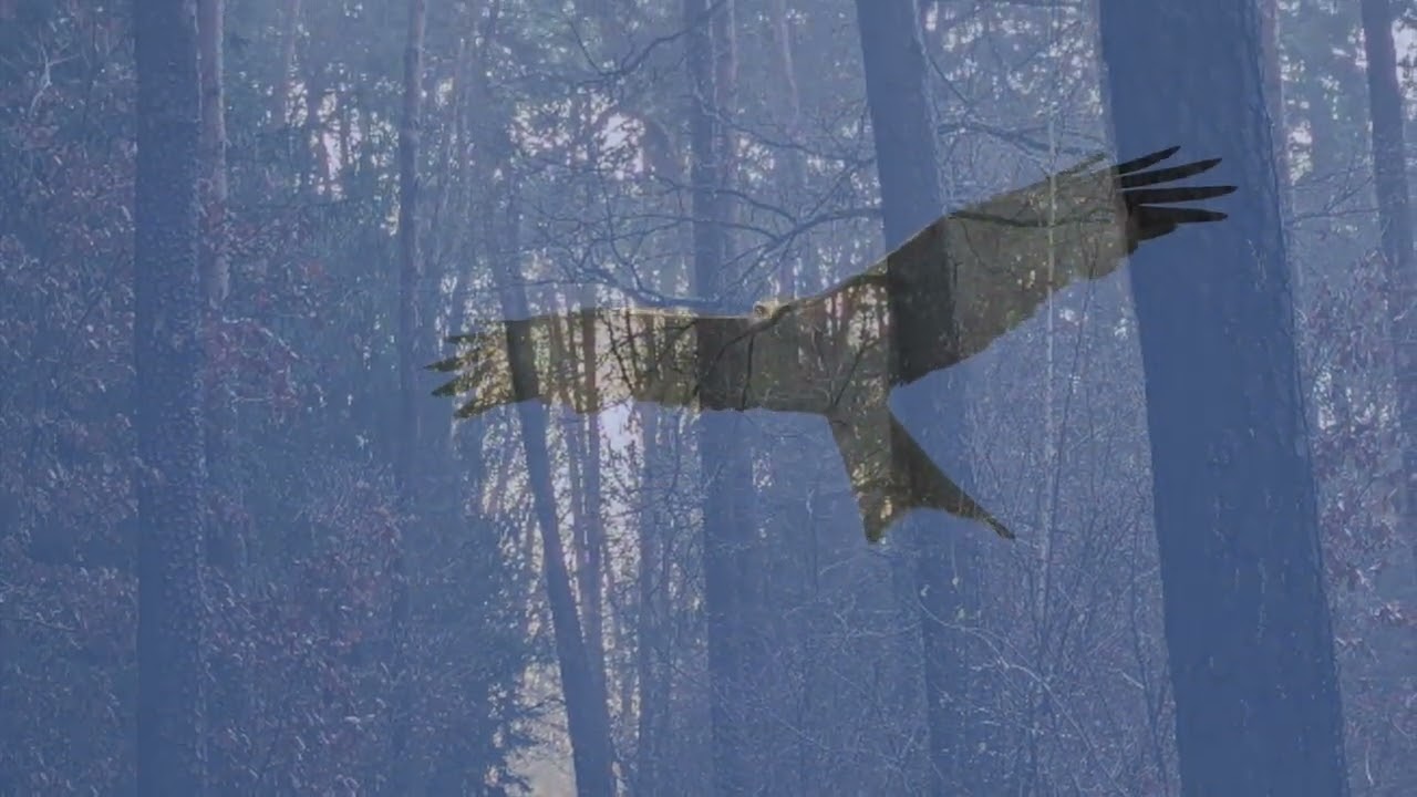 Ebersbachtal – eine Landschaft, über die jetzt entschieden wird • der-landfotograf.de