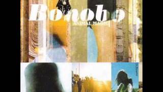 Bonobo - Silver