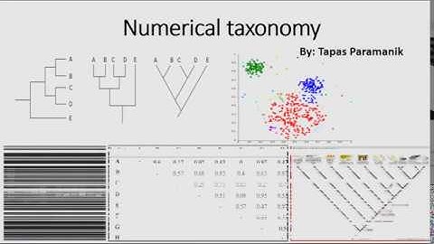 Numerical Taxonomy: part-2 (How to construct a phenogram)