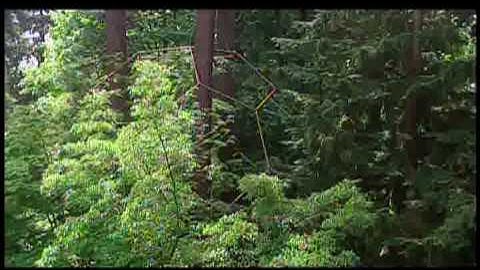 Quantum Sculptures with Julian Voss-Andreae