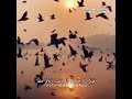 حوار آهل الجنة وأهل النار خالد الراشد