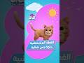 عيلة يويو عندهم القطة المشمشية حلوة أوي بس دايم ا بتعمل مشاكل شوفوا عملوا معاها إيه 
