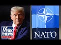 COMPLETELY WRONG Trump WARNED Over Potential NATO Exit 