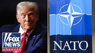 Celebrity ‘COMPLETELY WRONG’: Trump WARNED over potential NATO exit Profile