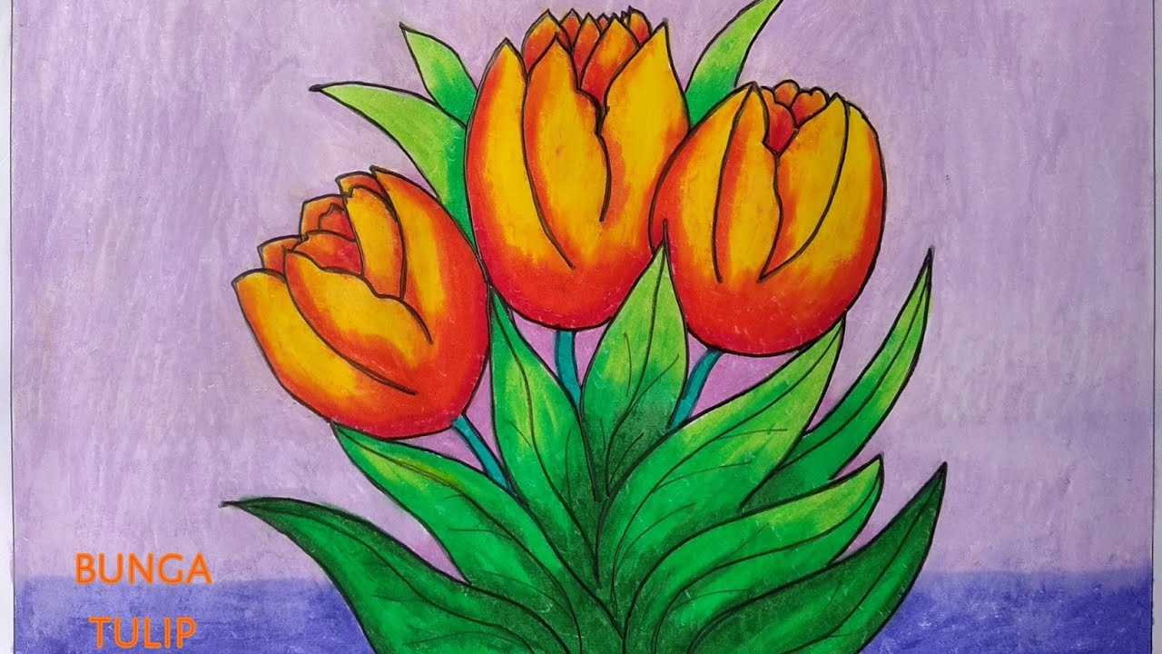  Menggambar  bunga  tulip  Cara  menggambar  dan mewarnai 