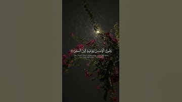 ما تيسر من #سورة_القيامة #محمد_البراك