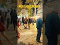 Watch Parisians and visitors dance under the sparkling Christmas lights
