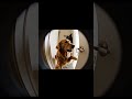 This Poor Golden Retriever Was Trying To Enter #dog #goldenretriever