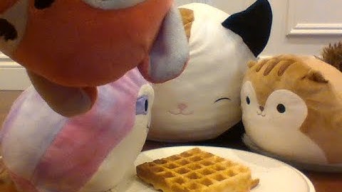 Stop Motion Squishmallows: Do You Like Waffles? | A Squishmallows animation |