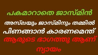 ജാസ്മിനും അസ്ലയും പിണങ്ങാനുള്ള കാരണം ഒരു വിശദീകരണം