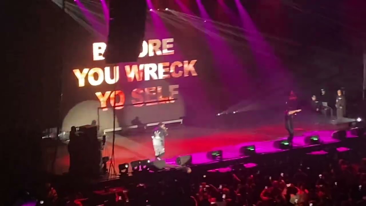 Ice cube, check yo self before you reck yo self live 420 westfest 2023