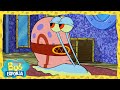 Bob Esponja | O que o Gary tem a dizer?! | Bob Esponja em Português