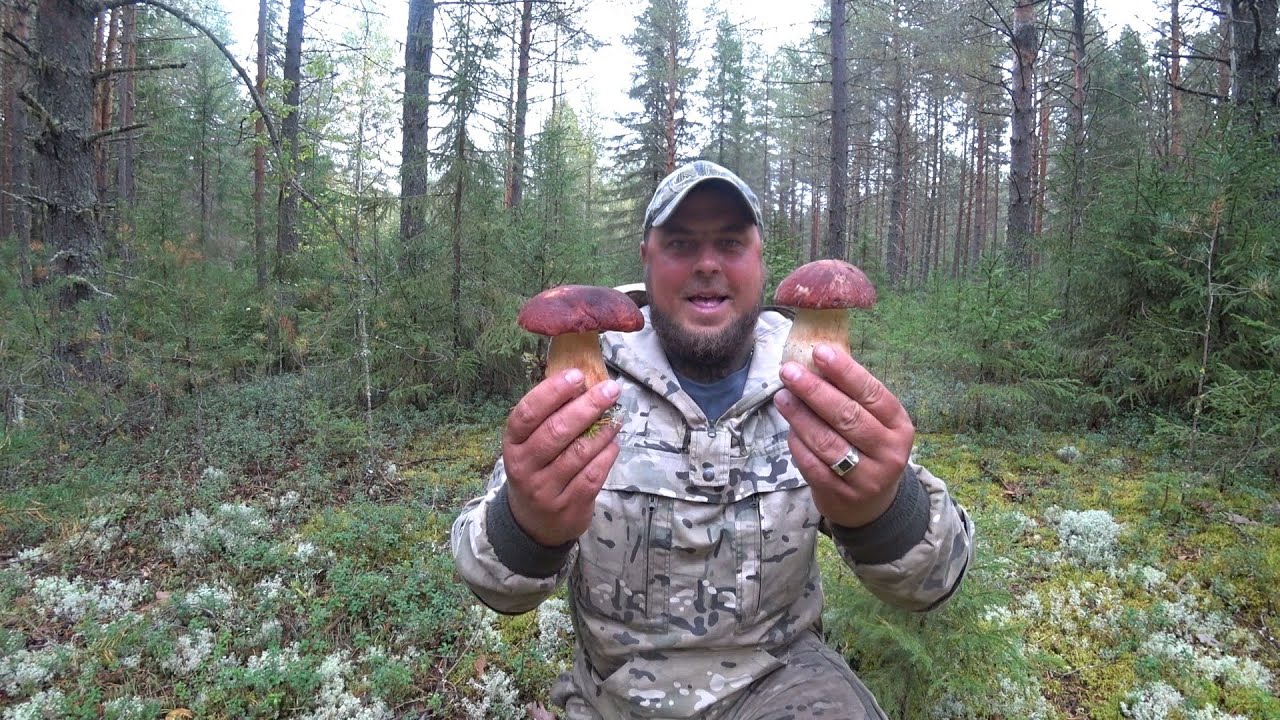 ОН ЕЙ БУКЕТ ЦВЕТОВ, Я ЕЙ ВЕДРО ГРИБОВ! С СУПРУГОЙ ПО ГРИБЫ НА МОТОВЕЗДЕХОДЕ \ БАНЯ, ЗАСУШИЛИ ГРИБЫ !