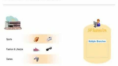 SAP Business One 9.1 Branches