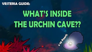 Vesteria: What's inside the Urchin cave?
