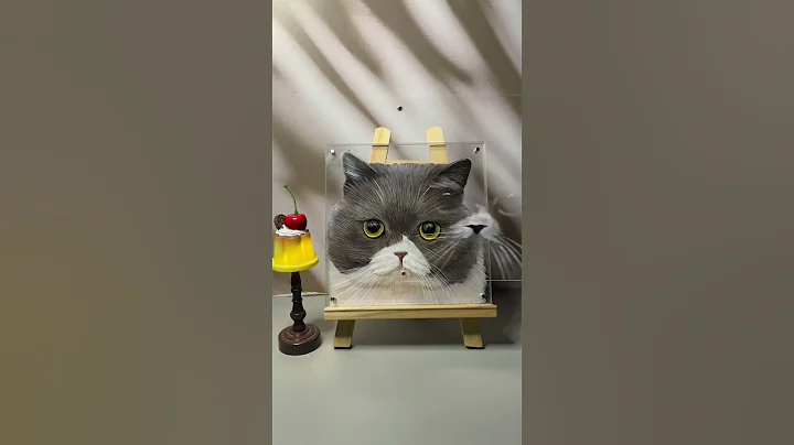 Video 11165001: british shorthair pets cat, british shorthair cute cat