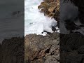 Let the ocean waves calm your mind. 💝#OceanSounds #RelaxingVibes #YouTubeShorts