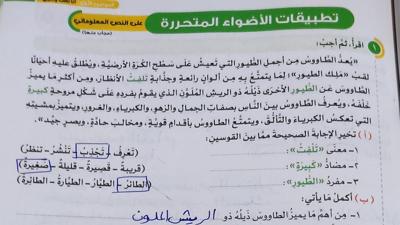 عاجل تطبيقات الأضواء المتحررة على النص المعلوماتي للصف الرابع الإبتدائي ...
