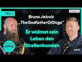 11 Bruno Jelovic TheGodfatherOfDogs Wie Ein Mann Sein Leben Den Straßenhunden Widmet TEIL 1 11 Bruno Jelovic TheGodfatherOfDogs Wie Ein Mann Sein Leben Den Straßenhunden Widmet TEIL 1