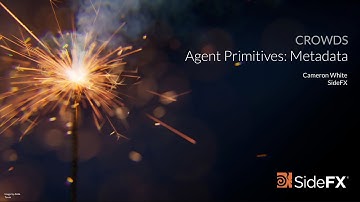Agent Primitives: Metadata