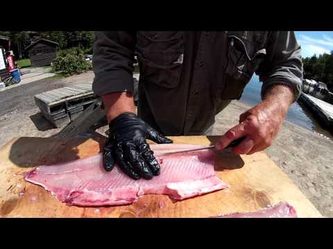 Smith Camps Whitefish Cleaning Demonstration