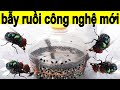Bẫy Ruồi Tự Chế Bắt Hàng Ngàn Con Ruồi Phan Miền / Homemade fly traps capture thousands of flies