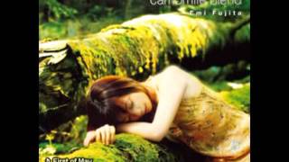 Video voorbeeld van "Emi Fujita 藤田惠美 - First of May"