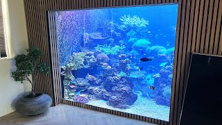 32,000 Liter REEF TANK from Daniel Fossum - Reef Relax 4K by Reef Relax 2,409 views 8 months ago 9 minutes, 42 seconds