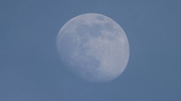 Surah An-Naml, سورة النمل - Abdallah Humeid.