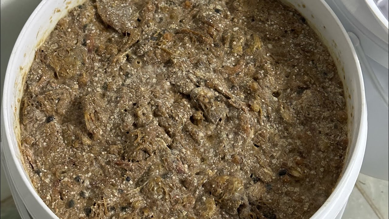 Cách ủ phân đạm cá tưới cây cực kỳ đơn giản và hiệu quả