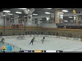 NCAA Women's Hockey vs Trine 1/12/19