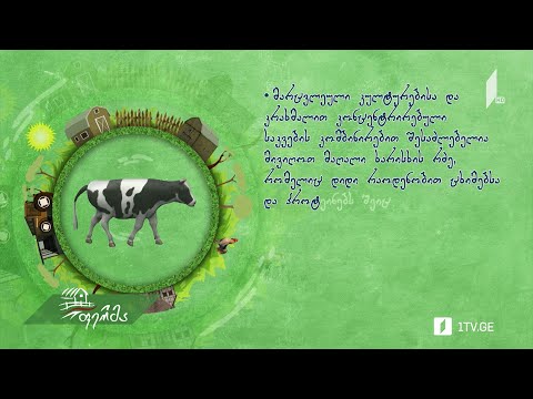 #რჩევები სწორი კვებით რძის ხარისხის გაუმჯობესება