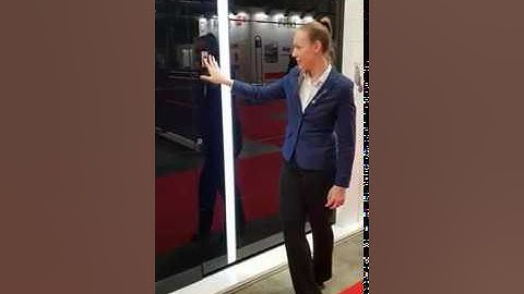 Pivot door with fingerprint lock