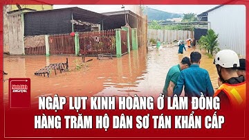 Nhiều nơi ở Lâm Đồng chìm trong biển nước, người dân kêu cứu khẩn thiết | Ninh Bình Digital