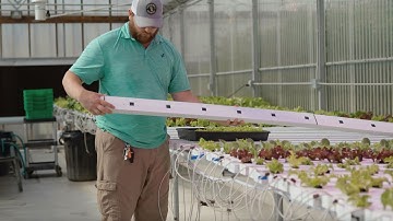 CropKing 2 and 3 Stage NFT Hydroponic Growing System