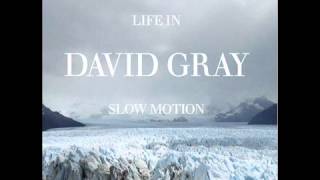 disappearing world - david gray