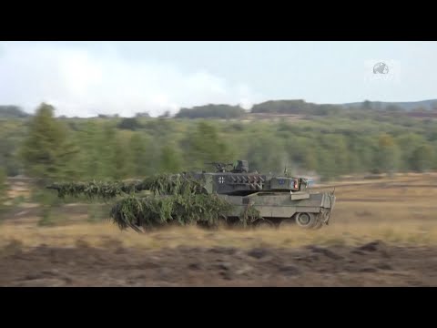 Video: Çfarë është fuqia e bushmasters në kafazin luke?