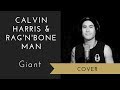 Calvin Harris, Rag'n'Bone Man - Giant (Cover)