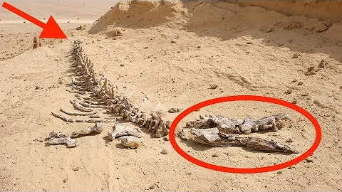 7 Mind-Boggling Sahara Desert Discoveries