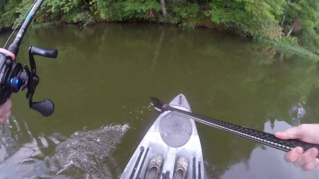 Kayak bass fishing at High Point City Lake, NC YouTube