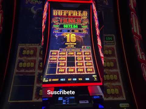 WADF Rueda de Casino World Championship 2018 finals - Ritmo y Son Cubano