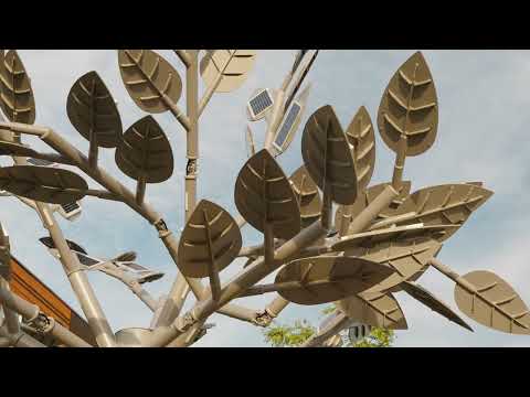 Tilia | Solidel - video from Solidel