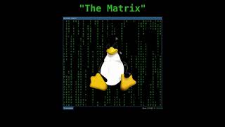 Remembering 'The Matrix' Linux Terminal