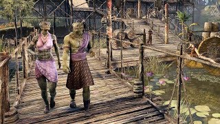 🔶The Elder Scrolls Online | Начало начал | И снова аргонианка🔶