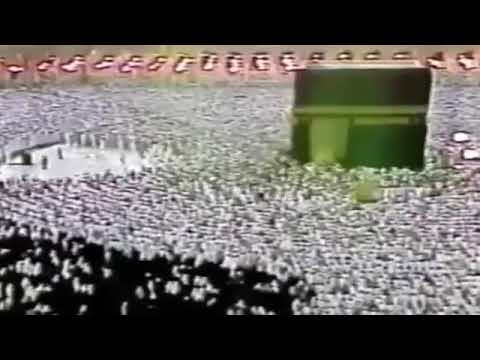 الشیخ علی جابر إ ن ل ل م ت ق ين م ف از ا ح د ائ ق و أ ع ن اب ا و ك و اع ب أ ت ر اب ا