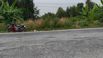 Tập318:(Đã bán)1000m2 lúa(10m x 100m)488m2 thổ-Giá 3tỷ300-Quốc Lộ N2-Thủ Thừa-Long An.Xây kho xưởng